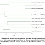 Figure 2: Dendrogram of Fusarium species derived from RAPD fingerprints generated by using seven different primers produced from the distance matrix by Unweighted Pair-Grouped Method by Arithmetic average, contained in the software package NTsys 2.2 version.