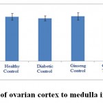 Figure 12: The ratio of ovarian cortex to medulla in the studied groups.