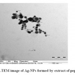 Figure 3: TEM image of Ag-NPs formed by extract of peppermint.