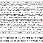 Figure 3: The nucleotide sequence of 942-bp amplified fragment of αs1-casein gene AG^CTrestriction sits at positions 68^69 and 631^632 in red