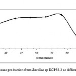 Figure 3: Protease production from Bacillus sp KCPSS-3 at different temperatures.