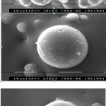 Figure 1: Scanning electron micrographs of the formulation CO-3 at the acceleration voltage of 14.9 kv. Showing smooth and spherical surface of microspheres.