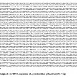 Figure 2: Aligned 16sr DNA sequence of Lysinibacillus sphaericus(1517 bp).
