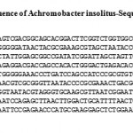 Figure 1: 16S rDNA Sequence of Achromobacter insolitus-Sequence BI 357.