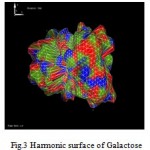 Figure 3: Harmonic surface of Galactose.