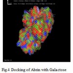 Figure 4: Docking of Abrin with Galactose .