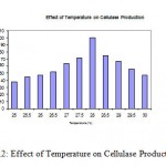 Figure 2: Effect of Temperature on Cellulase Production.