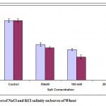 Figure 2: Effect of NaCl and KCl salinity on leaves of Wheat.