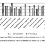 Figure 1: Antimicrobial activity of methanol extracts of Hibiscus tiliaceous and Aegiceras corniculatum.