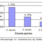 Figure4: Percentage of infestation by Eimeria.