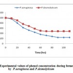 Figure 5: Experimental values of phenol concentration during fermentations by P.aeruginosa and P.desmolyticum.