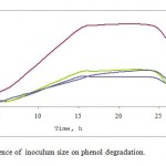 Figure 2: Influence of inoculum size on phenol degradation.