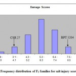 Figure 1: Frequency distribution of F3 families for salt injury scores.