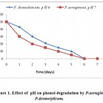 Figure 1: Effect of pH on phenol degradation by P.aeruginosa and P.desmolyticum.