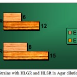 Figure 2: Strains with HLGR and HLSR in Agar dilution.