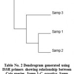 Figure 5: Dendrogram generated using ISSR primers showing relationship between Coix species. Samp 1-C. aquatica, Samp 2-C. gigentea, Samp 3-C. lacryma-jobi, Samp 4-C. lacryma-jobi (Thailand).