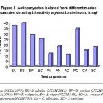 Figure 1: Total number of actinomycetes exhibiting broad spectrum activity (bacteria and fungi) were 35(26.5%). 