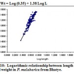Figure 10: Logarithmic relationship between length and total weight in P. malabarica from Bhatye.