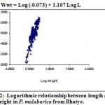 Figure 12: Logarithmic relationship between length and wet weight in P. malabarica from Bhatye.