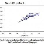 Figure 2: Linear relationship between length and width in P. malabarica from Shirgaon.