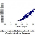 Figure 4: Curvilinear relationship between length and total weight in P. malabarica from Shirgaon.