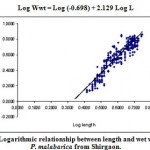 Figure 5: Logarithmic relationship between length and wet weight in P. malabarica from Shirgaon