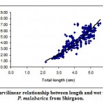 Figure 6: Curvilinear relationship between length and wet weight in P. malabarica from Shirgaon.