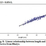 Figure 8: Linear relationship between length and height in P. malabarica from Bhatye.