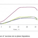 Figure 1: Influence of pH on phenol degradation.