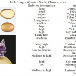 Table 3: Agria (Quartax Semle) Characteristics.