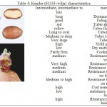 Table 4: Kondor (61333´wilja) characteristics.