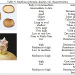 Table 5: Marfona (primura´konts1-12) characteristics.