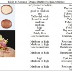 Table 8: Romano (Draga´Destivec) characteristics.