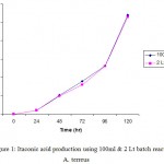 Figure 1: Itaconic acid production using 100ml & 2 Lt batch reactor by terreus.