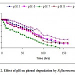 Figure 2: Effect of pH on phenol degradation by P.fluorescence.