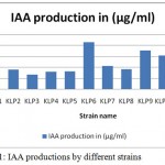 Figure 1: IAA productions by different strains.