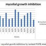 Figure 2: mycelial growth inhibition by isolated PGPR strains.