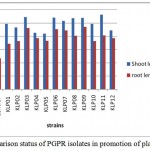 Figure 5 Comparison status of PGPR isolates in promotion of plant growth in cm.