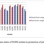 Figure 6: Comparison status of PGPR isolates in promotion of plant growth in grams.