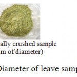 Figure 1: Diameter of leave samples.