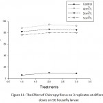 Figure 11: The Effect of Chloropyriforus on 3 replicates at different doses on 50 housefly larvae