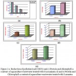 Figure 3: a) Reduction of pollution load COD b) and c) Protein and chlorophyll-a content of aquaculture wastewater treated with O.acuminata. d) and e) Protein and Chlorophyll-a content of aquaculture wastewater treated with S.armatus.