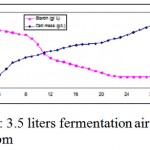 Figure  2: 3.5 liters fermentation air sparging at 476 rpm.
