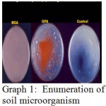 Plate 1: Enumeration of soil microorganism.