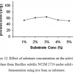Figure 12: Effect of substrate concentration on the activity of amylase from Bacillus subtilis NCIM 2724 under solid-state fermentation using rice bran as substrate.