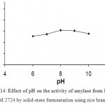 Figure 14: Effect of pH on the activity of amylase from Bacillus subtilis NCIM 2724 by solid-state fermentation using rice bran as substrate.