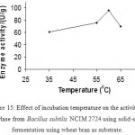 Figure 15: Effect of incubation temperature on the activity of amylase from Bacillus subtilis NCIM 2724 using solid-state fermentation using wheat bran as substrate