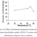 Figure 16: Effect of incubation temperature on the activity of amylase from Bacillus subtilis NCIM 2724 under solid-state fermentation using rice bran as substrate.