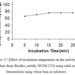 Figure 17: Effect of incubation temperature on the activity of amylase from Bacillus subtilis NCIM 2724 using solid-state fermentation using wheat bran as substrate.