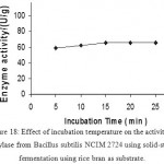 Figure 18: Effect of incubation temperature on the activity of amylase from Bacillus subtilis NCIM 2724 using solid-state fermentation using rice bran as substrate.